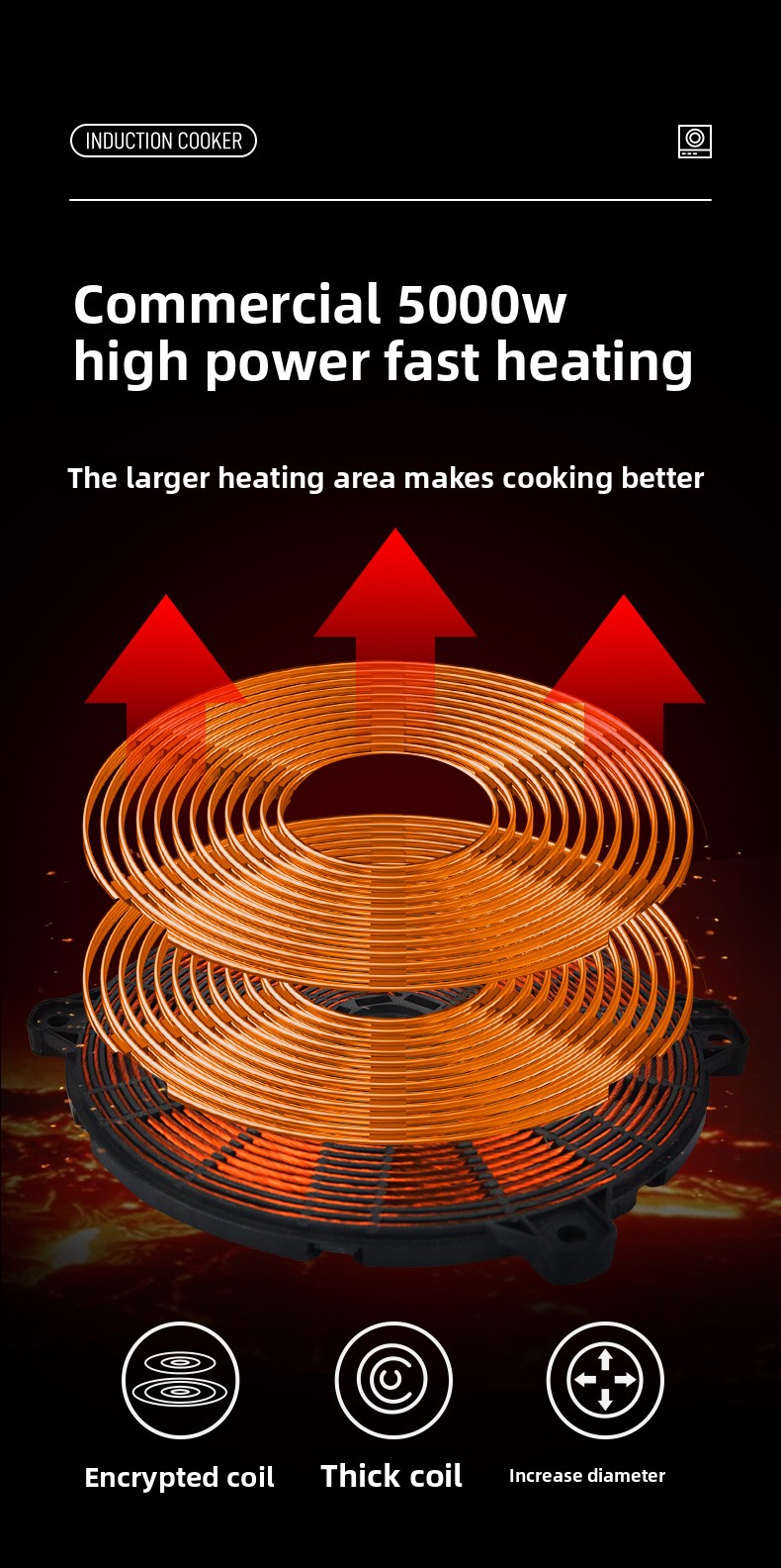 220V Commercial Induction Cook - огляд і ціна Induction Cooktop Portable