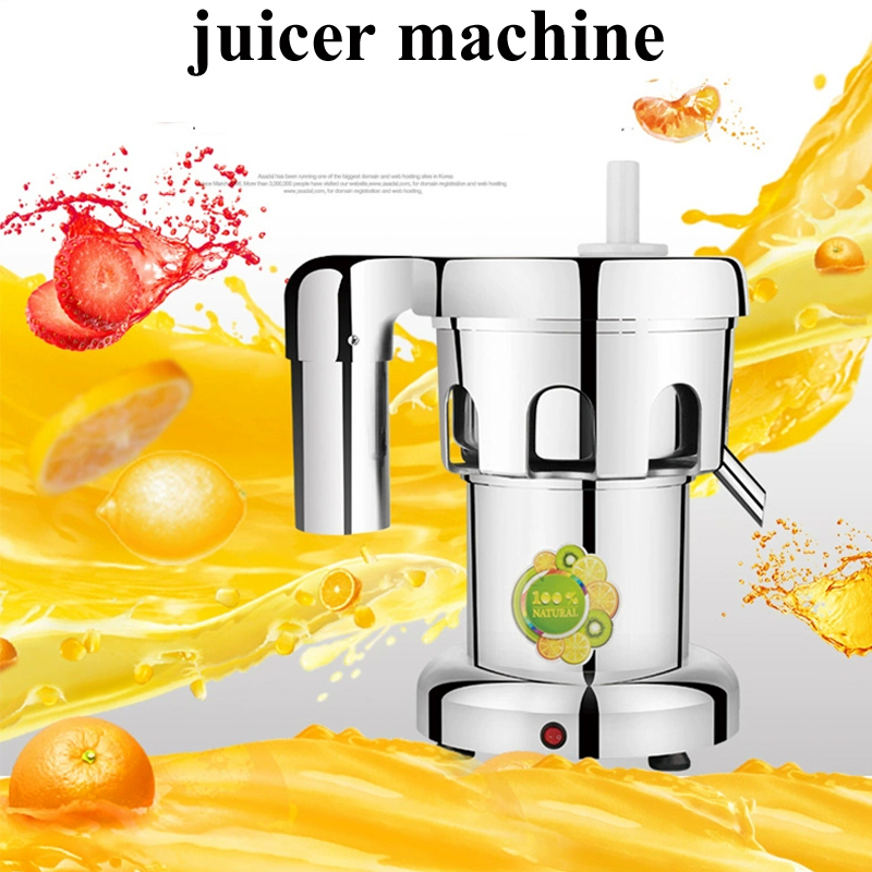 Electric Juice Extractor Stain - огляд і ціна Juicer