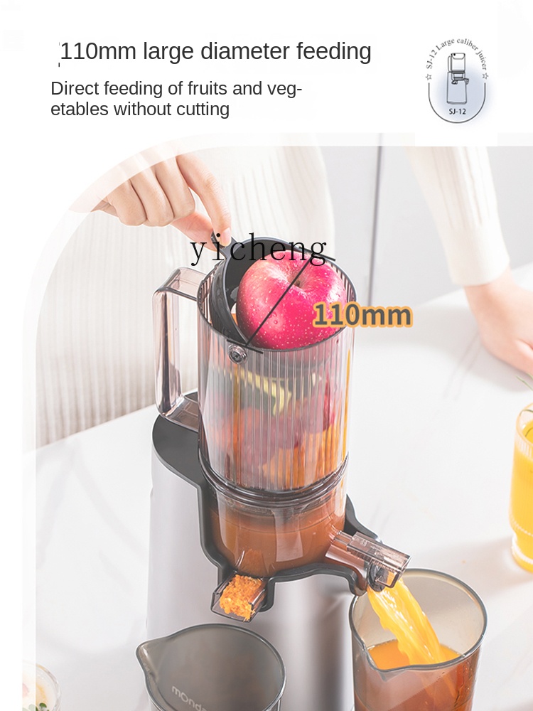 cc28 Juicer Automatic Slag Jui - огляд і ціна Juicer